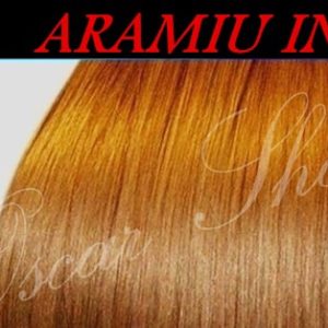 Breton Aramiu Intens