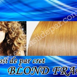 Clip-On Extensions Curly Frappe Blonde