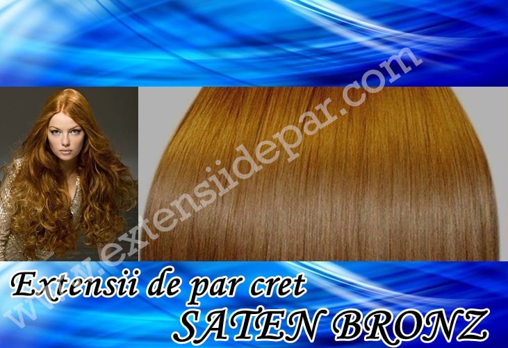 Clip-On Extensions Curly Bronze Brown