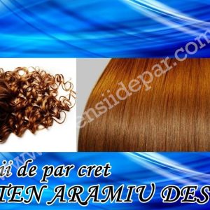 Clip-On Extensions Curly Light Coppery Brown