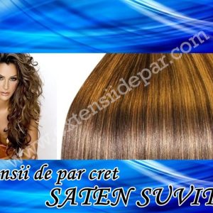 Clip-On Extensions Curly Mixed Strawberry Brown