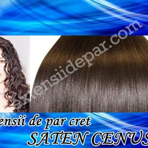 Clip-On Extensions Curly Silver Brown