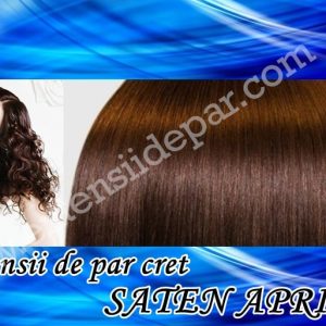 Clip-On Extensions Curly Bright Brown