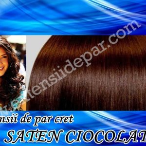 Clip-On Extensions Curly Chocolate Brown