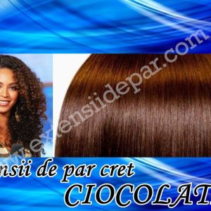 Clip-On Extensions Curly Ciocolatiu