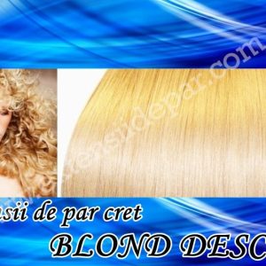 Clip-On Extensions Curly Light Blonde