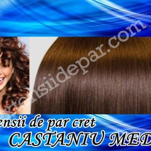 Clip-On Extensions Curly Medium Auburn