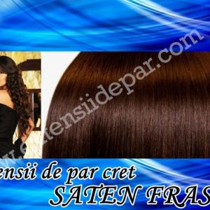 Clip-On Extensions Curly Ash Brown