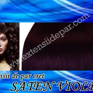 Clip-On Extensions Purple Brown