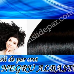 Clip-On Extensions Curly Blue Black