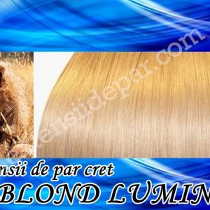 Clip-On Extensions Curly Ash Blonde