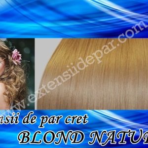 Clip-On Extensions Curly Natural Blonde