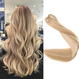 Weft Hair DeLuxe Highlighted #60 #24