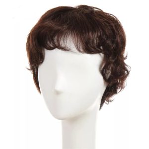 Natural Hair Wig Chocolate